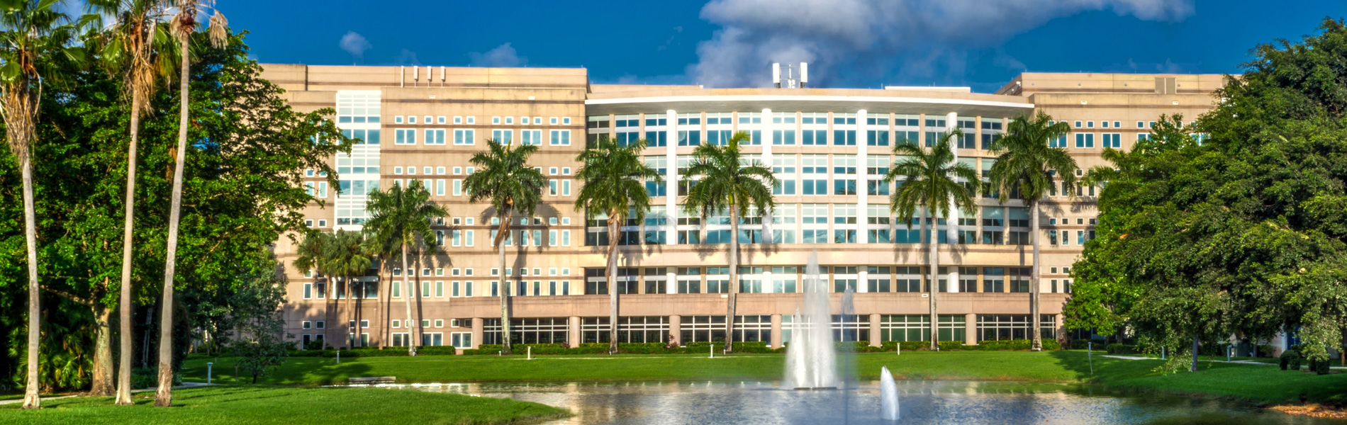 NSU Campus