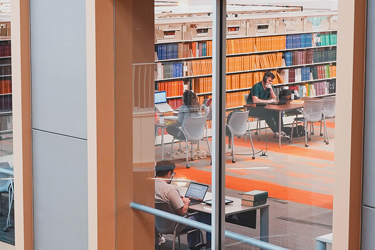 Students studying in the library