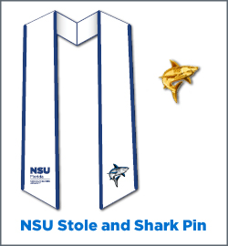 stole_pin