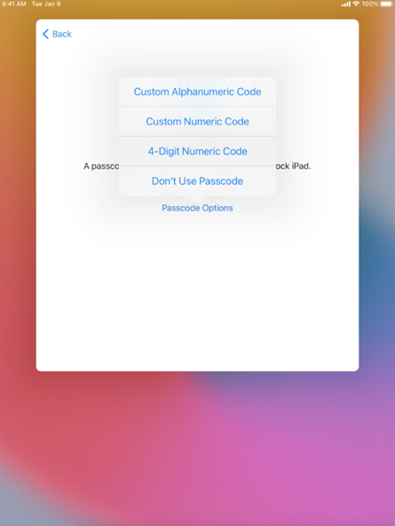Select the following options screenshot