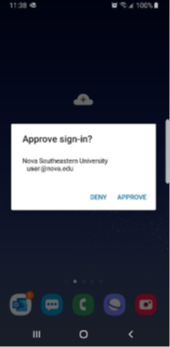 Approve screenshot