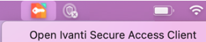 Pulse Secure icon screenshot